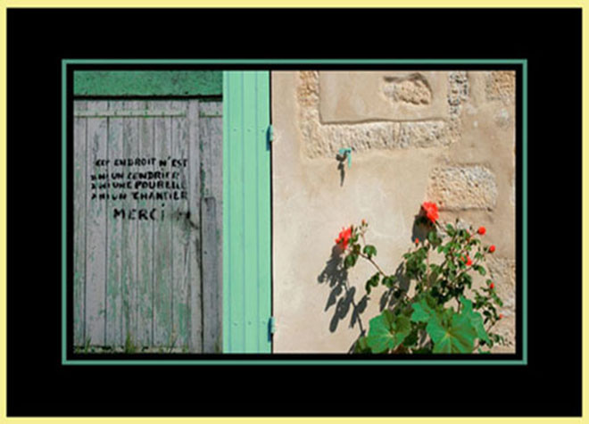 roses insoumises